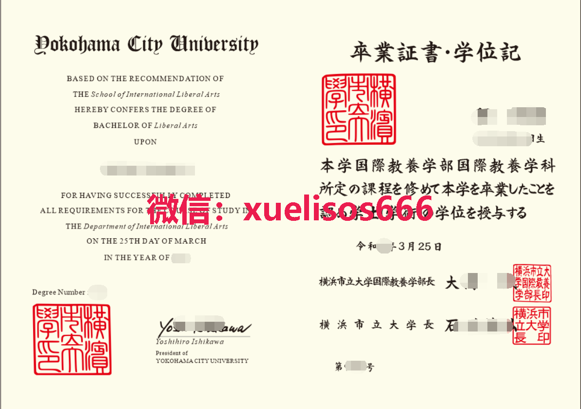 横滨国立大学毕业证.png