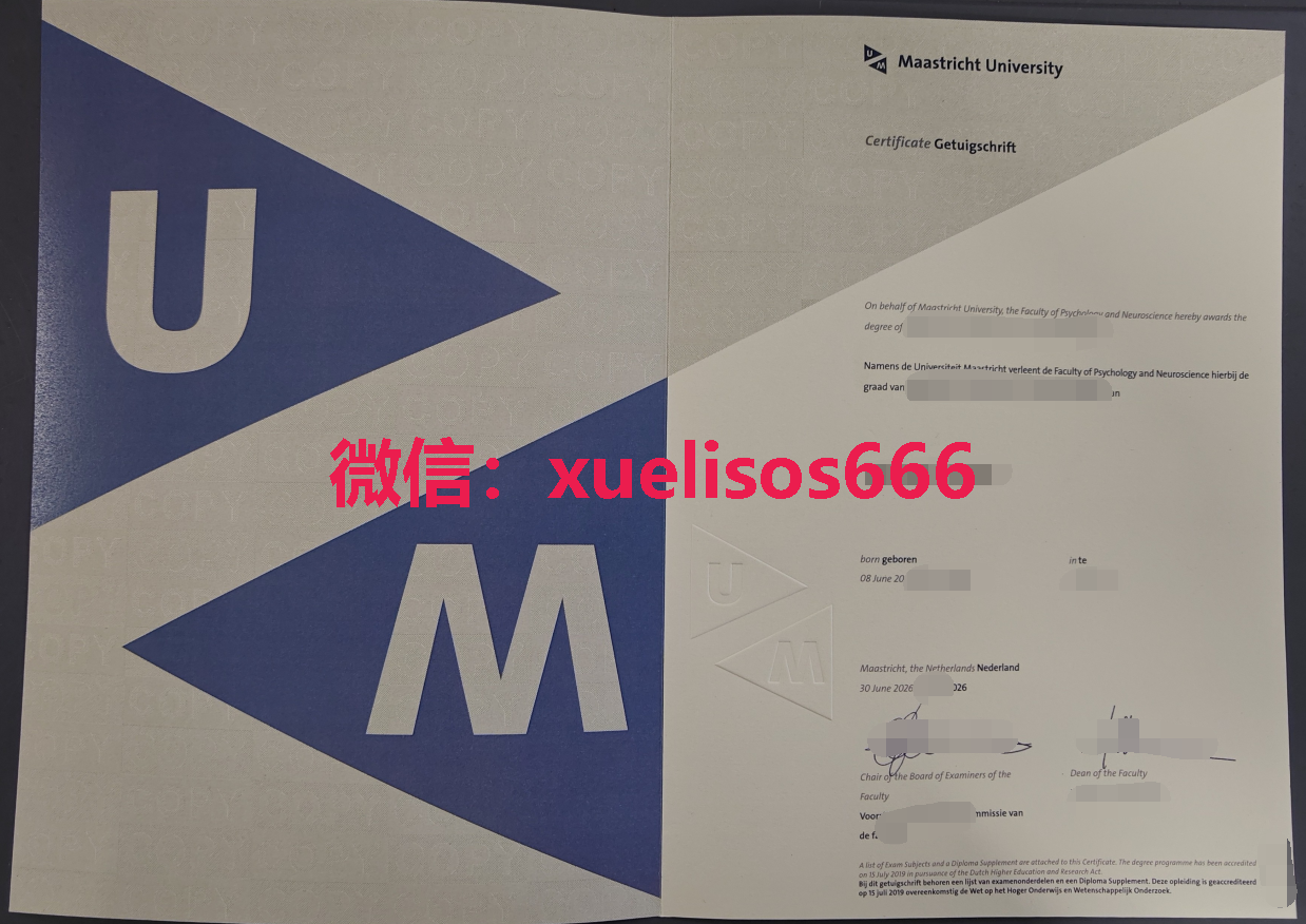马斯特里赫特大学毕业证 .png