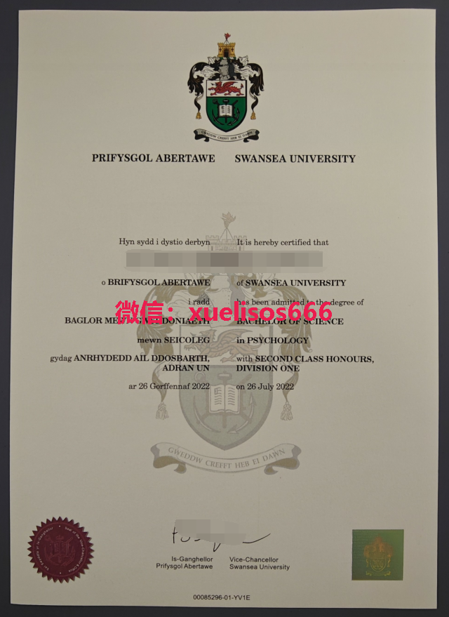 斯旺西大学毕业证.png