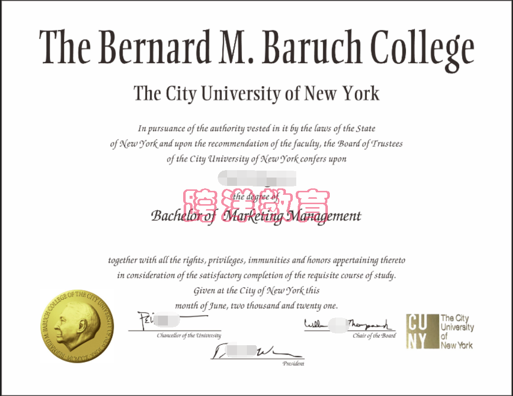 美国纽约市立大学柏鲁克分校C.png