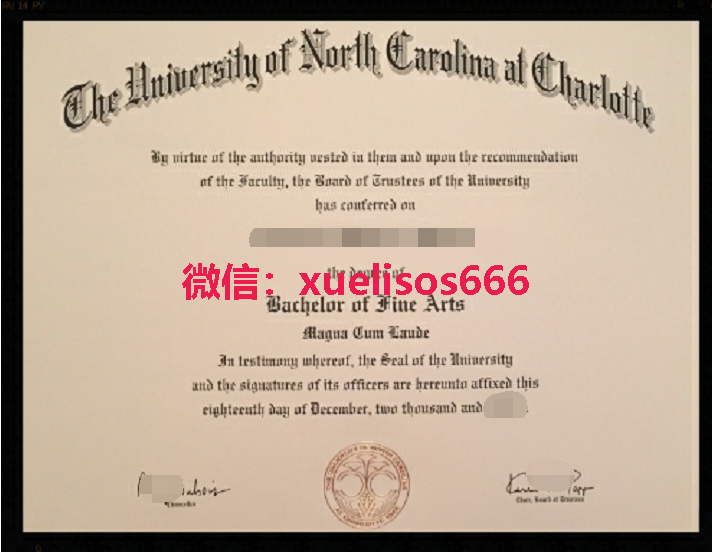 北卡罗莱纳大学夏洛特分校UNCC毕业证.png