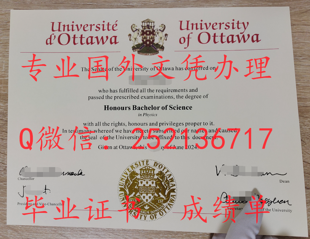 渥太华 C.png